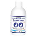 Vetsense Calcium Syrup for Dogs & Cats | VetSupply