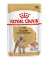 Royal Canin Poodle Adult Loaf Pouches Wet Dog Food - VetSupply