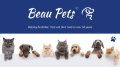 Beau Pets Dog Car Harness