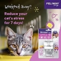 Feliway Cat Products