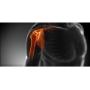 Sydney Shoulder Clinic