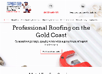 Professional Plumbing & Roofing Gold Coast's website