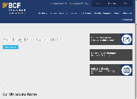 BCF Ultrasound's website