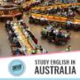 Study English in Australia