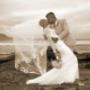 Weddings Canberra