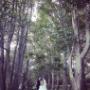 Weddings south coast nsw