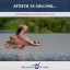 Adventure brochure