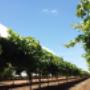 Company Site Photo