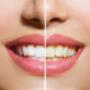 Cure Dental
