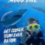 Shark Dive Xtreme - get closer than ever before to sharks in Sydney