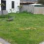 Grass removal