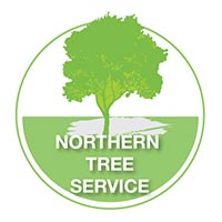 Northern Tree Services