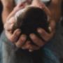 Uploaded by visitor on 19/4/2018 - Newborn Photography