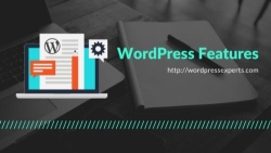 WordPress Experts