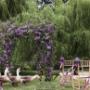 Event Hire Gold Coast