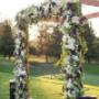 Wedding Arch Gold Coast