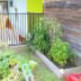 Uploaded by visitor on 15/5/2018 - Kidi Kingdom Child Care Coomera