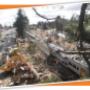 Emergency Tree services