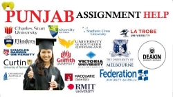 Punjab Assignment Help