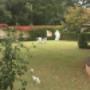Jesus in the Garden