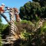 Uploaded by visitor on 19/4/2018 - Palm Tree Removal Brisbane