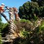 Uploaded by visitor on 19/4/2018 - Palm Tree Removal Brisbane