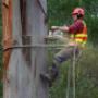 Uploaded by visitor on 19/4/2018 - Tree cutting Brisbane