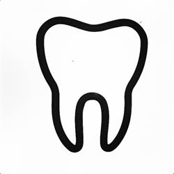 The Northside Dentist