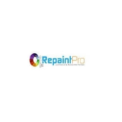 Repaint Pro