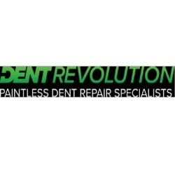 Dent Revolution
