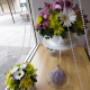 WIndow Display