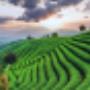 Uploaded by visitor on 7/5/2018
