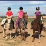 Group Riding Lessons