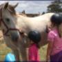 Horse Mad Gang