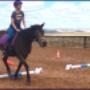 Riding Lessons