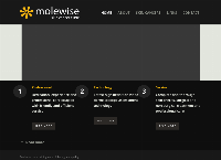 Molewise Skin Cancer Clinic's website