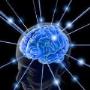 Uploaded by visitor on 17/5/2018 - Kinesiology