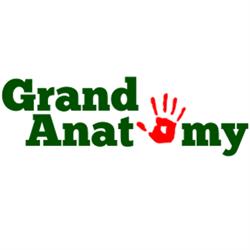 Grand Anatomy