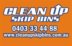 Cleanup Skip Bins