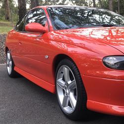 Molinari Auto Detailing