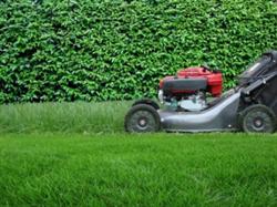 Pum Cheap Lawn Mowing