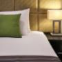 Park View King Room