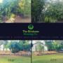 Mulching & Garden Maintenance Browns Plains
