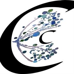 Community Connection Care