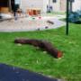 Outdoor Playground 1
