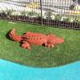 Rubber Croc