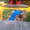 Rubber-Decking-Garden
