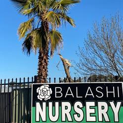Balashi flowers