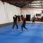 omega jiu jitsu and mma