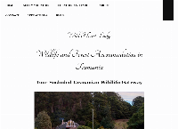 Wild Heart Lodge